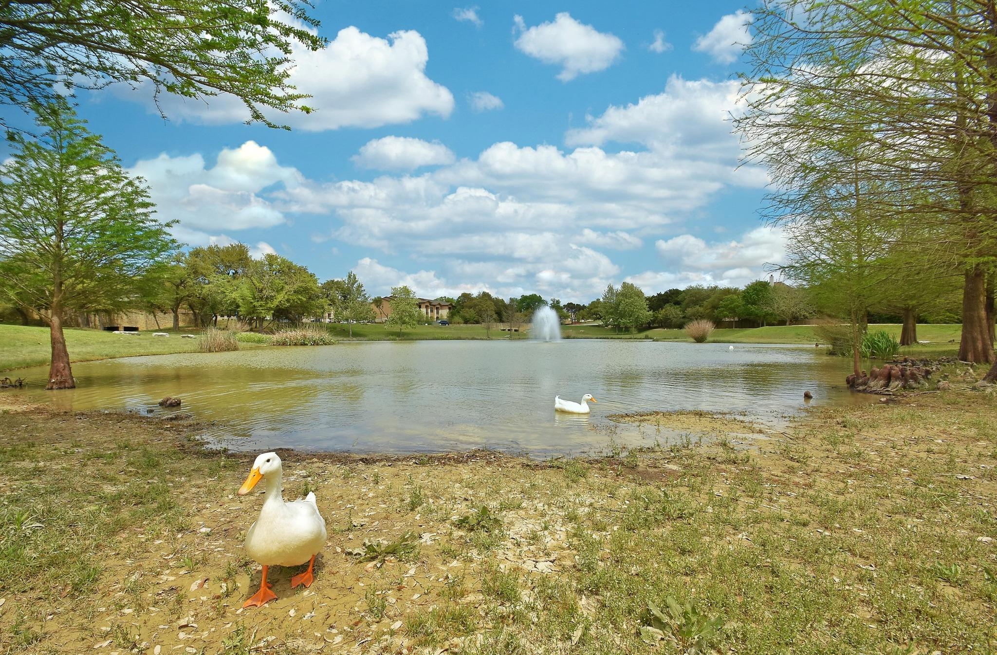 301 Grafton Lane Austin TX 78737