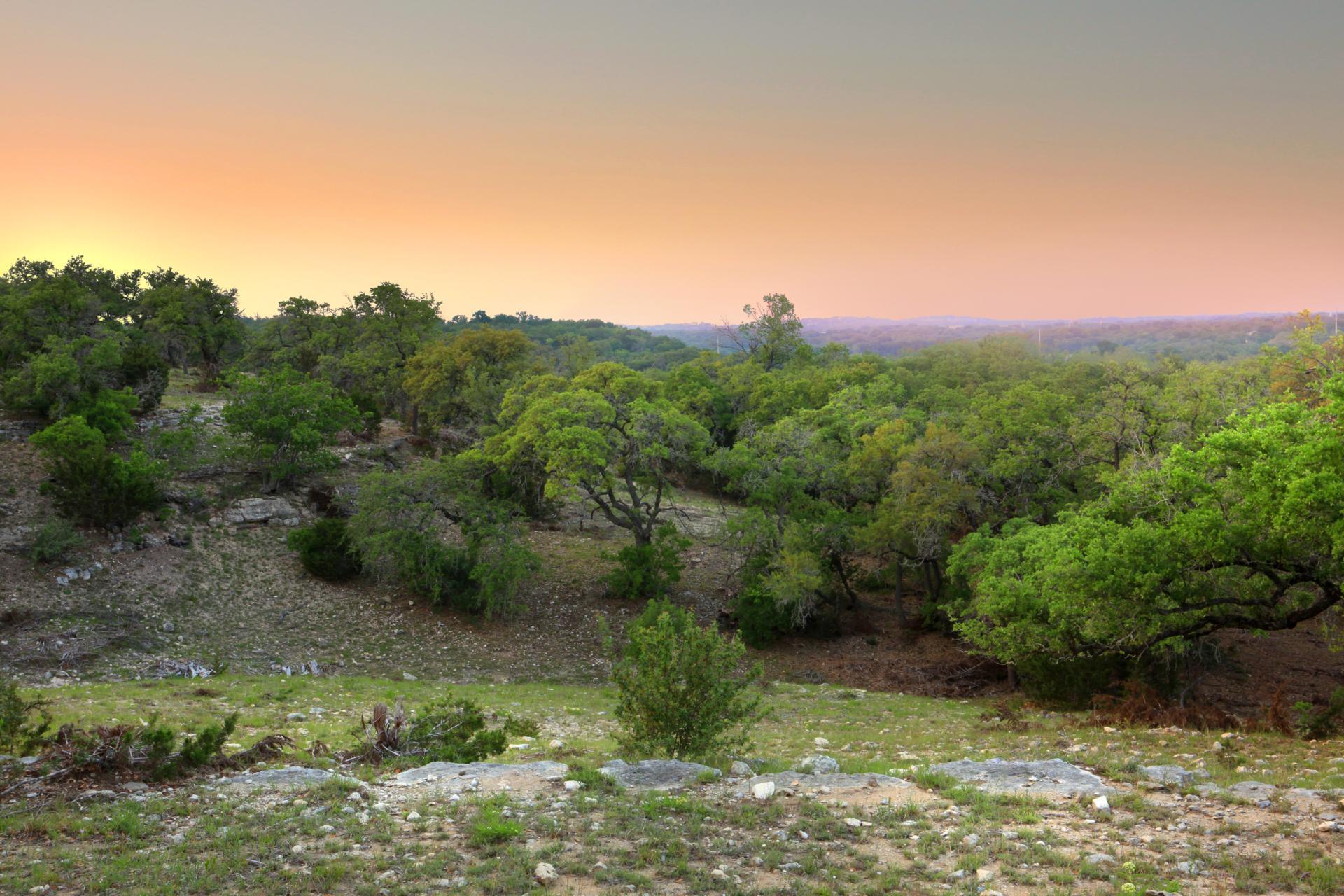 366 Crosswater Lane Dripping Springs TX 78620