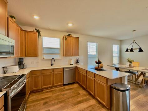 13304 Nancy Reagan Street Manor TX 78653