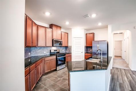 4449 Acerno Street Round Rock TX 78665