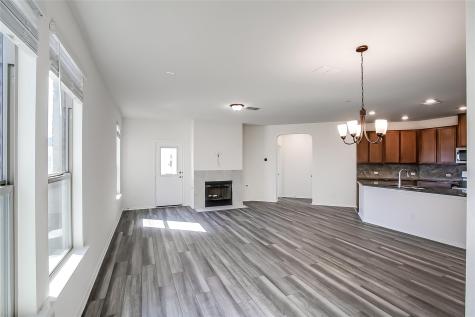 4449 Acerno Street Round Rock TX 78665