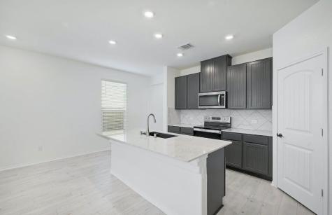 13213 Nancy Reagan Street Manor TX 78653
