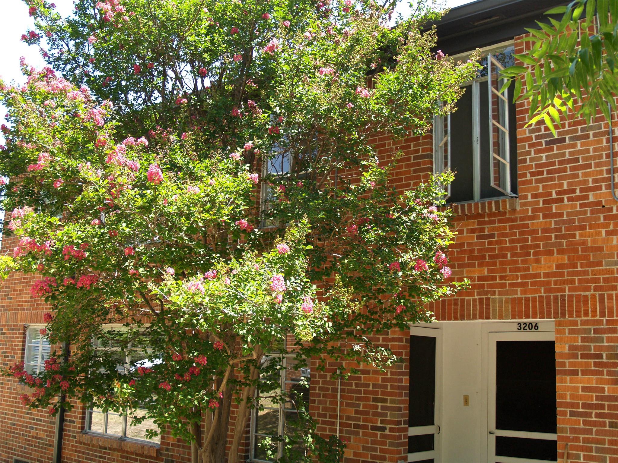 3206 Tom Green Street Austin TX 78705