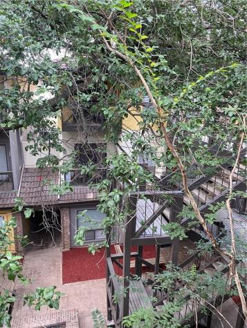 806 W 24th Street Austin TX 78705