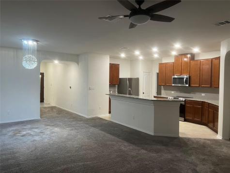 14228 Silver Lace Lane Pflugerville TX 78660