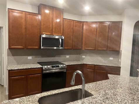 14228 Silver Lace Lane Pflugerville TX 78660
