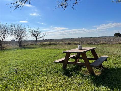 13817 Abrahamson Court Manor TX 78653