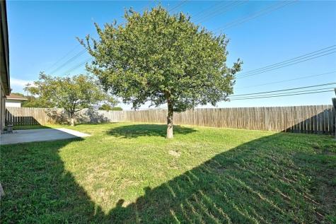 11724 Gemmer Street Del Valle TX 78617