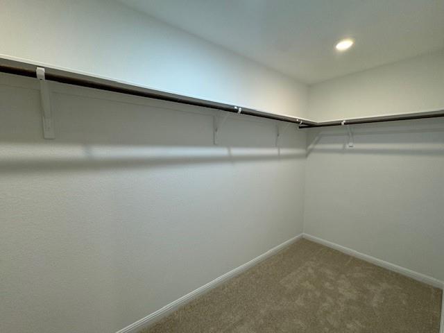 788 Papaya Drive Buda TX 78610