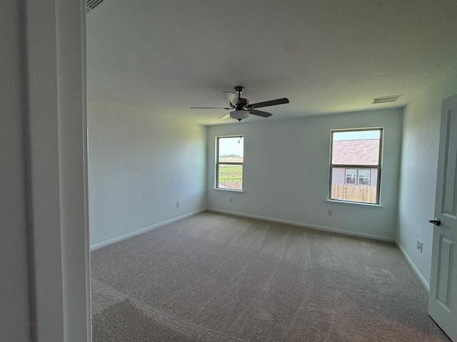 788 Papaya Drive Buda TX 78610