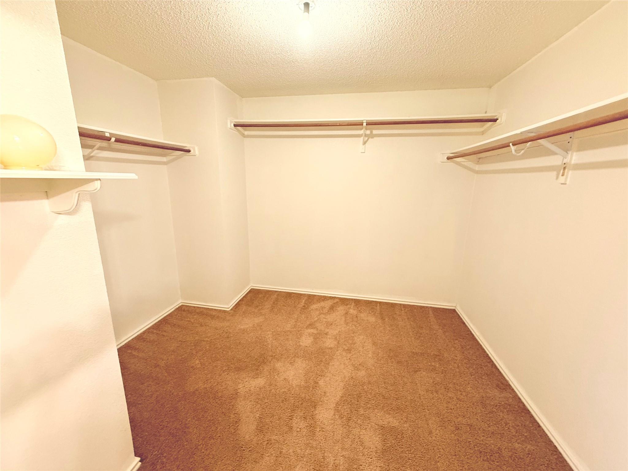 2009 Mimosa Cove Round Rock TX 78664
