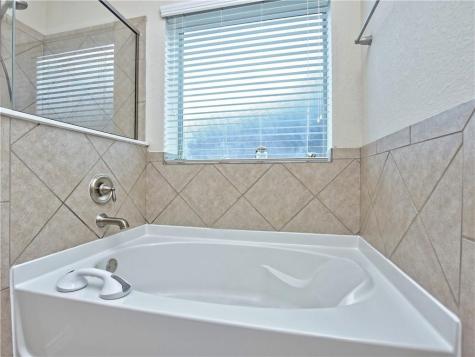 13528 Green Lodge Court Manor TX 78653