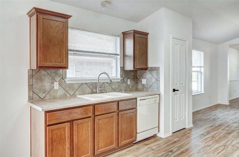 1305 Four Cabin Court Round Rock TX 78665