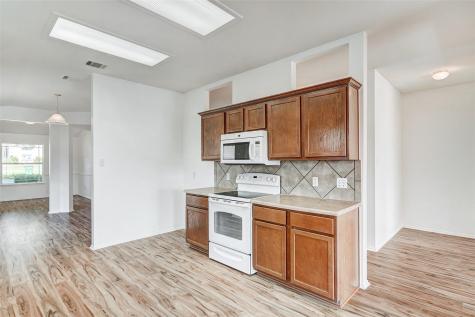 1305 Four Cabin Court Round Rock TX 78665