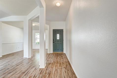 1305 Four Cabin Court Round Rock TX 78665