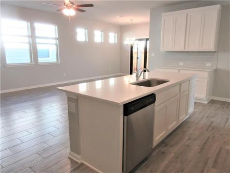 2224 Pecan Island Drive Leander TX 78641
