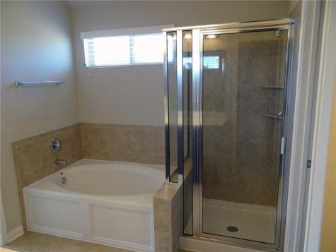 299 Clear Springs Hollow Buda TX 78610