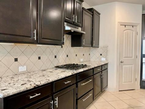 1032 Dyer Creek Place Round Rock TX 78665