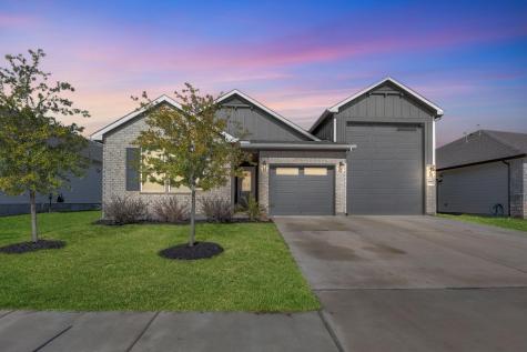 20704 John Gill Drive Manor TX 78653