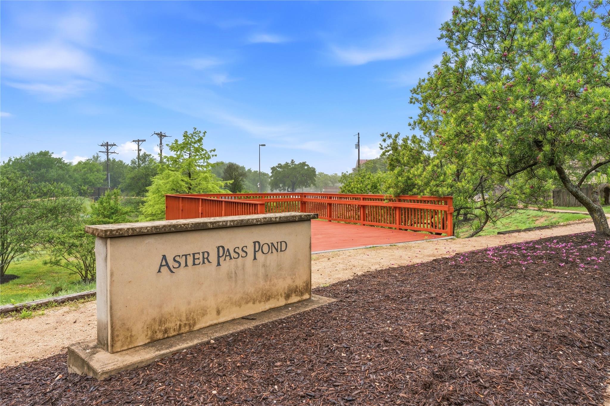 1909 Aster Pass Cedar Park TX 78613