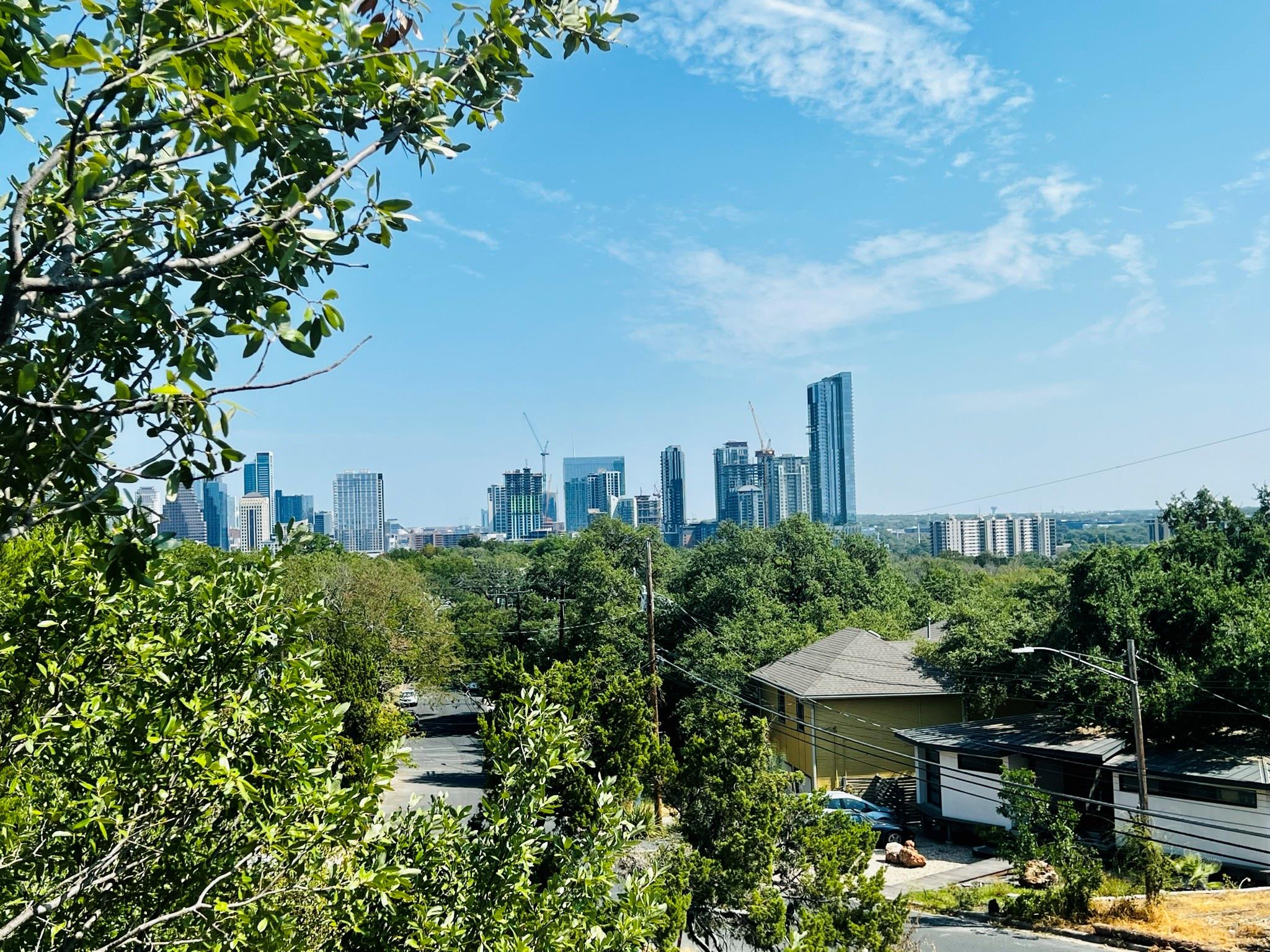 1702 Newning Avenue Austin TX 78704