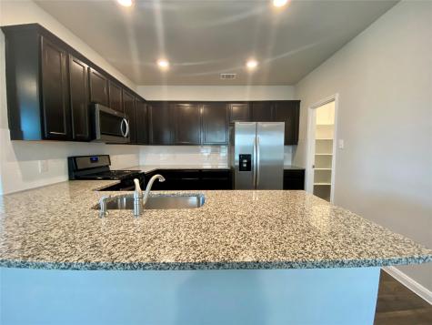 230 Cherry Laurel Lane Kyle TX 78640