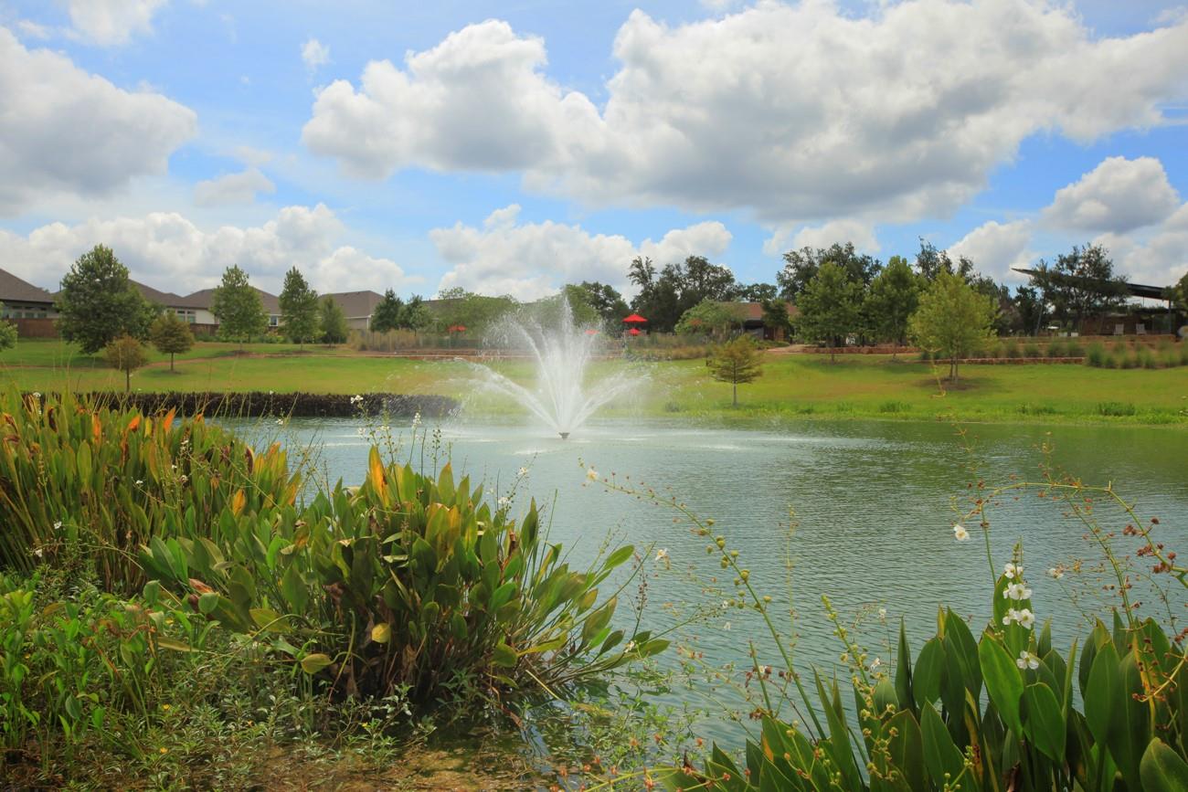609 Foxtail Agave Street Leander TX 78641