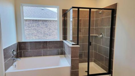 4937 Morese Palace Trail Round Rock TX 78665