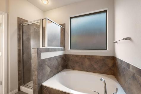 1117 Grande Mesa Drive Georgetown TX 78626