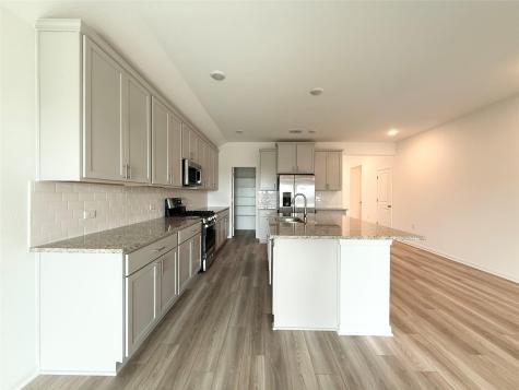 15409 Flowers View Pflugerville TX 78660
