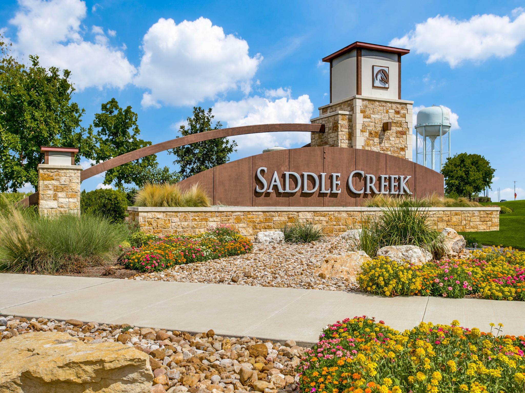 508 Rearing Mare Pass Georgetown TX 78626