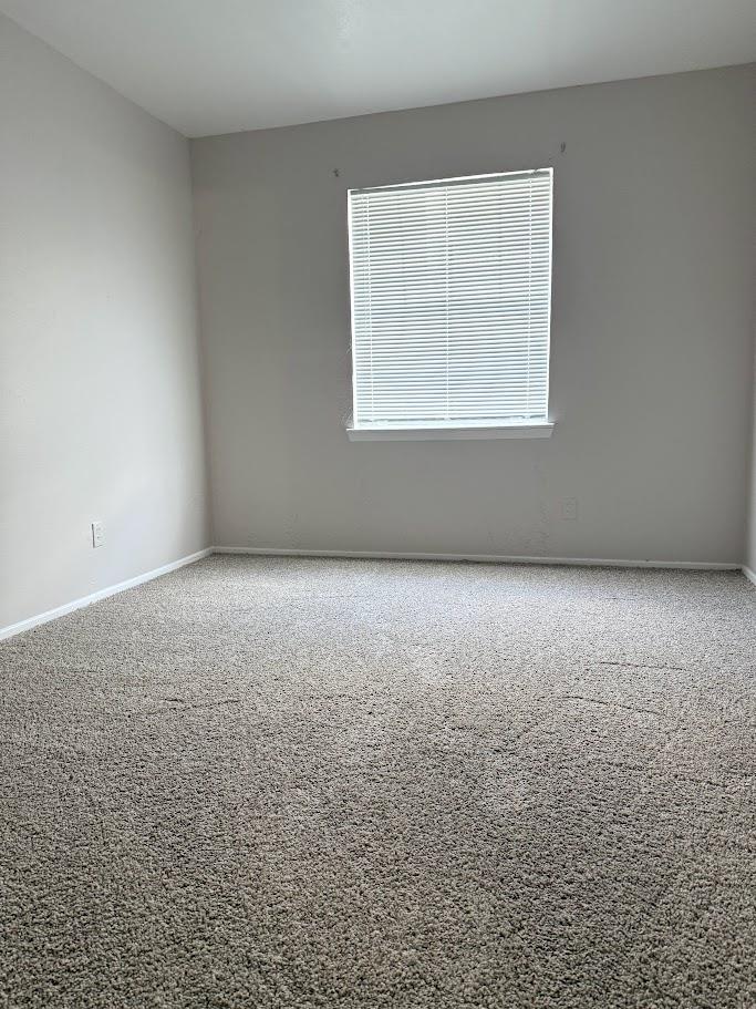 307 E 31 Street Austin TX 78705