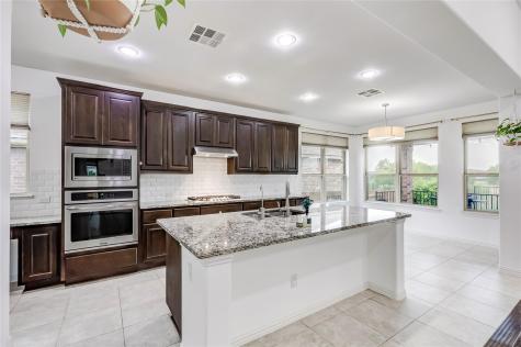3525 De Soto Loop Round Rock TX 78665