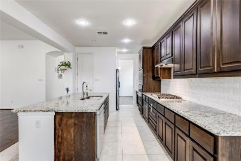 3525 De Soto Loop Round Rock TX 78665