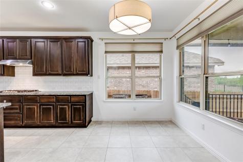 3525 De Soto Loop Round Rock TX 78665