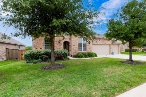 3525 De Soto Loop Round Rock TX 78665