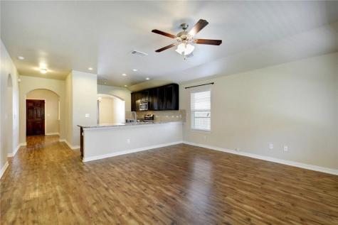 3621 Rams Horn Way Round Rock TX 78665