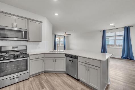 17925 Curio Drive Pflugerville TX 78660