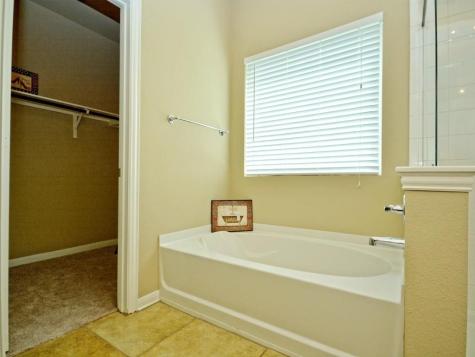 1413 Short Horn Cove Round Rock TX 78665