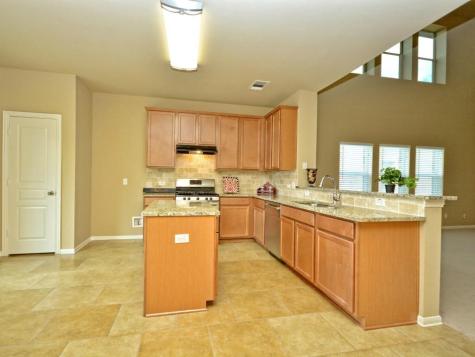 1413 Short Horn Cove Round Rock TX 78665