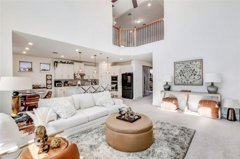 133 Goshen Drive Dripping Springs TX 78620