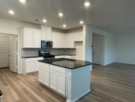 4519 Avellino Drive Round Rock TX 78665