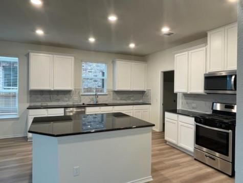 4519 Avellino Drive Round Rock TX 78665