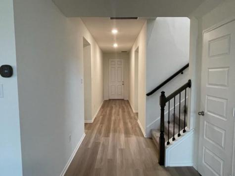 4519 Avellino Drive Round Rock TX 78665
