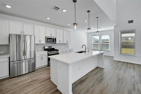 6411 Velvet Leaf Lane Buda TX 78610