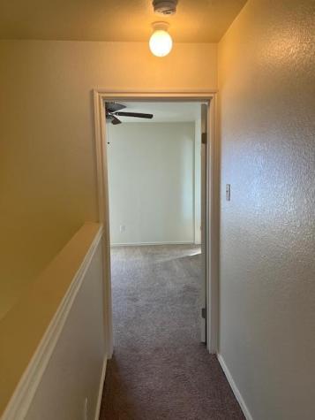 1105 Christopher Avenue Round Rock TX 78681