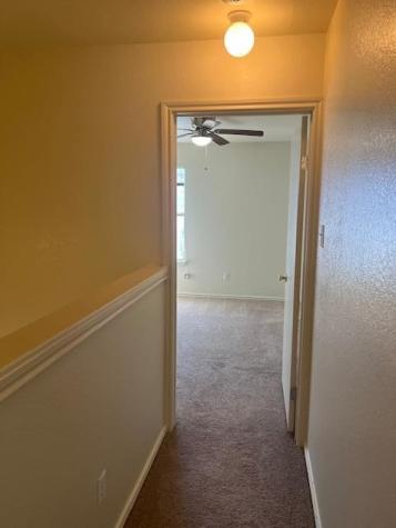 1105 Christopher Avenue Round Rock TX 78681