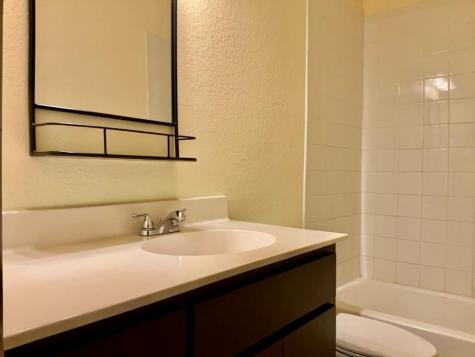 2946 Todd Trail Round Rock TX 78665