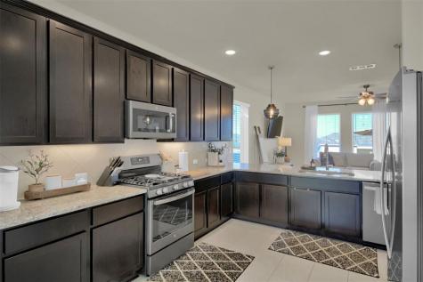 6510 Teramo Terrace Round Rock TX 78665