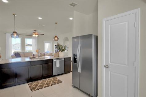 6510 Teramo Terrace Round Rock TX 78665